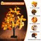 2 Pack Fall Lighted Maple Tree Tabletop - 24 Acorns LED Lights with 6 Pine Cones